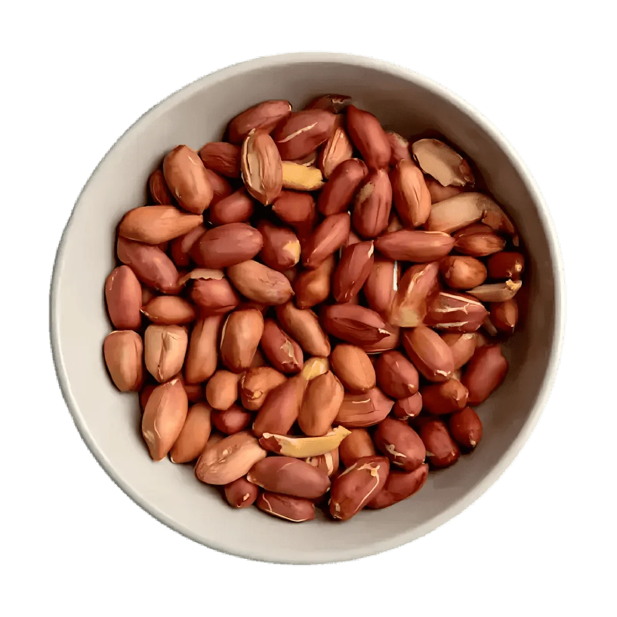 Ciotola di arachidi sgusciate crude PROFRUIT, colore rosso-beige, su sfondo verde uniforme.