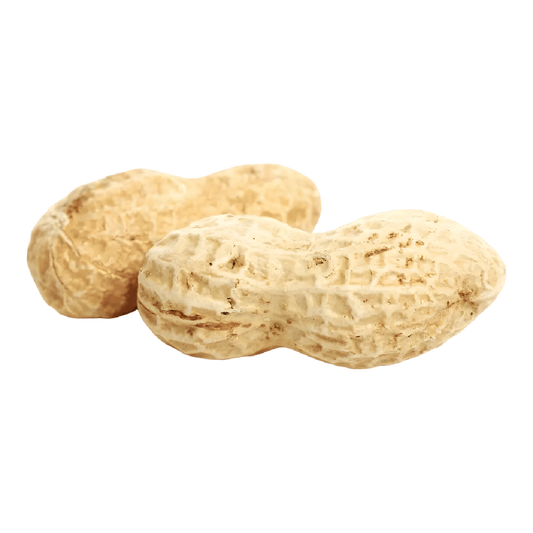 Arachide fraîche