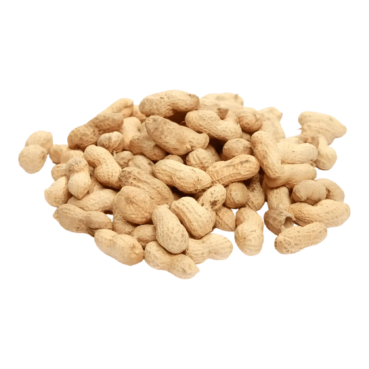 Lot d’arachides fraîches en coques, parfaites pour une consommation directe ou en cuisine. Arachide fraîche - Achat en ligne.