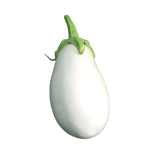 Aubergine blanche Africaine