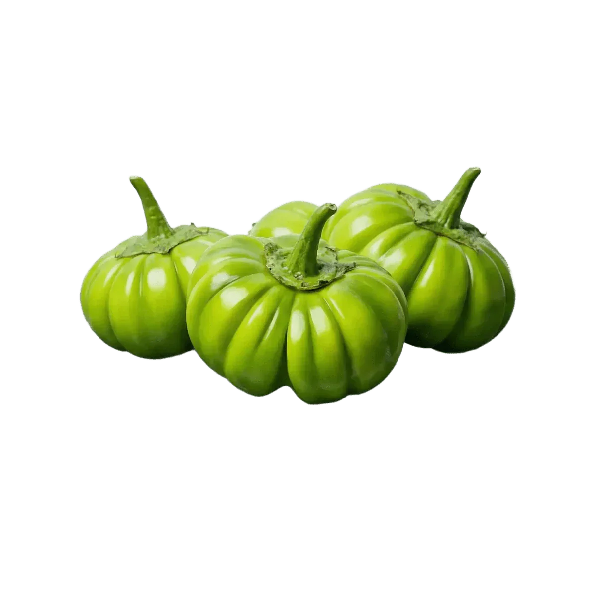 Groene Jakato aubergine Africaine — alternatieve verpakking | Afrikaanse kruidenwinkel NKOSI