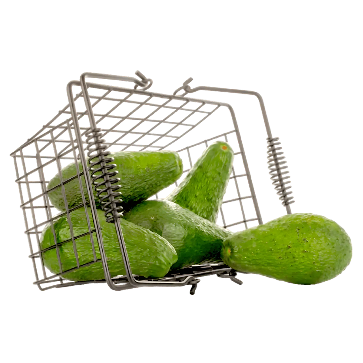 Panier métallique rempli d’avocats Haas frais, peau verte texturée, produit de qualité pour alimentation saine et cuisine maison.
