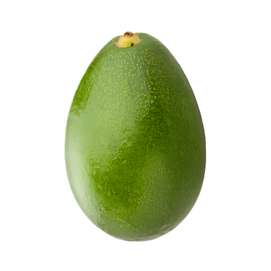 Avocat tropical