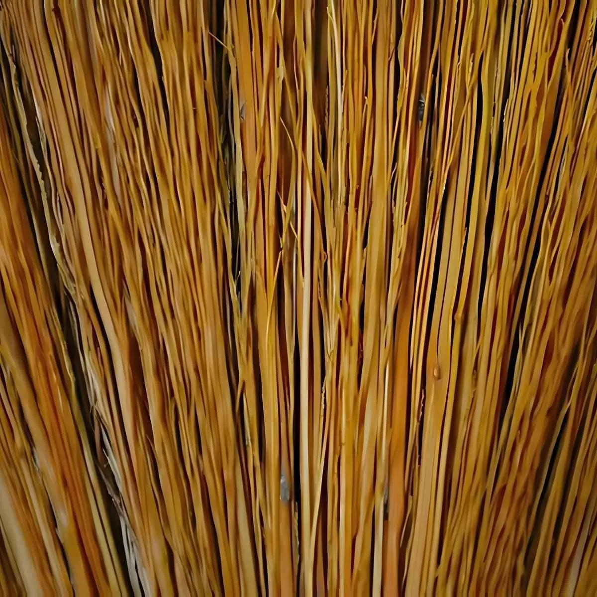 Gros plan sur les fibres du balai traditionnel africain, montrant la texture artisanale idéale pour un nettoyage naturel et durable.