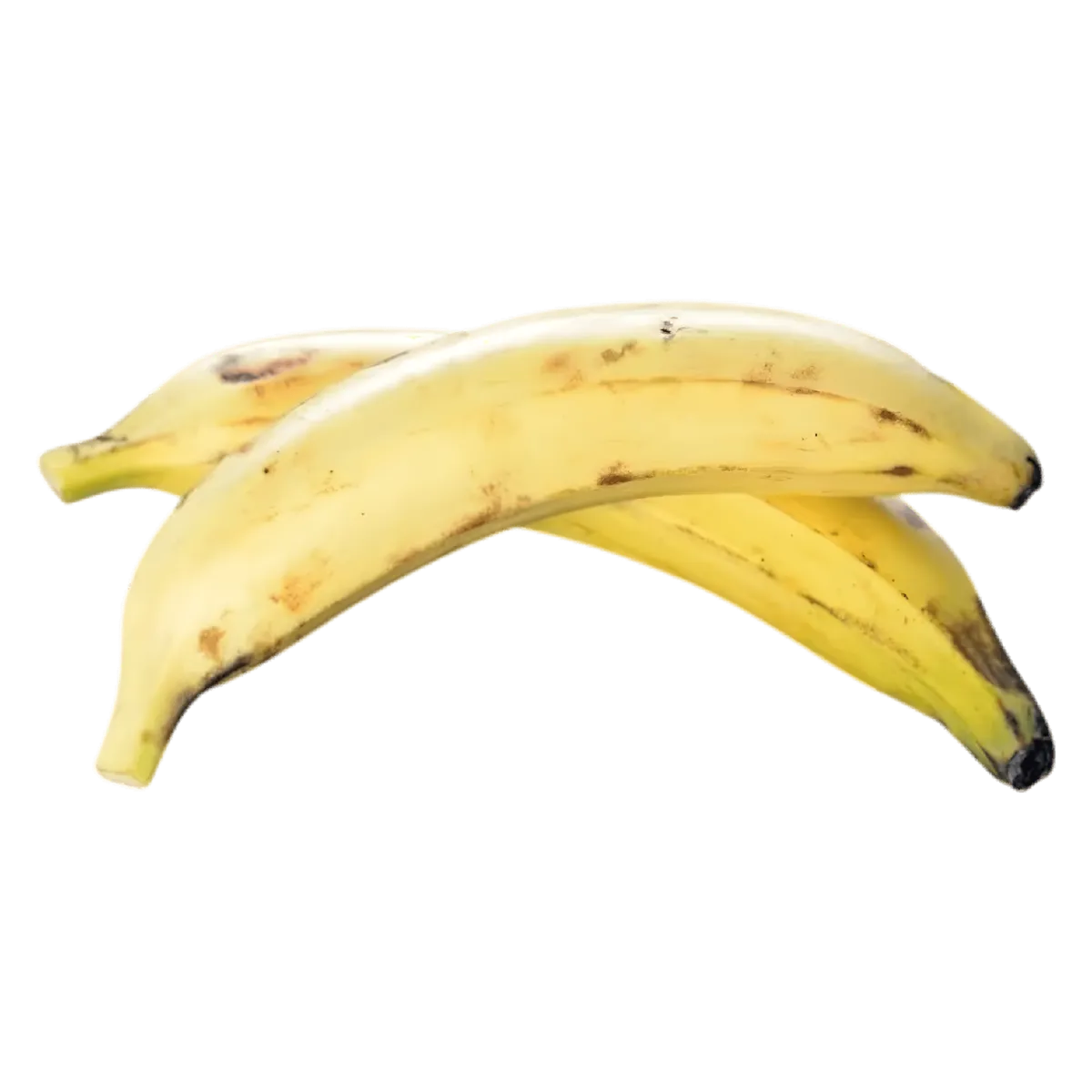 Deux bananes plantain jaunes mûres, parfaites pour plats exotiques. Ingrédient frais au goût sucré et à la peau dorée.