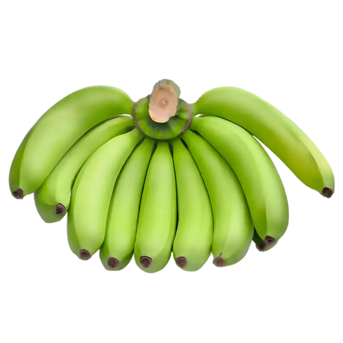 Régime de bananes vertes fraîches, parfaites pour cuisson. Produit nutritif de la catégorie Fruits & Légumes frais.