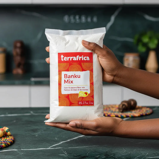 Farine maïs manioc Banku mix - TERRAFRICA tenue en main, produit d'épicerie salée pour des recettes traditionnelles africaines réussies.