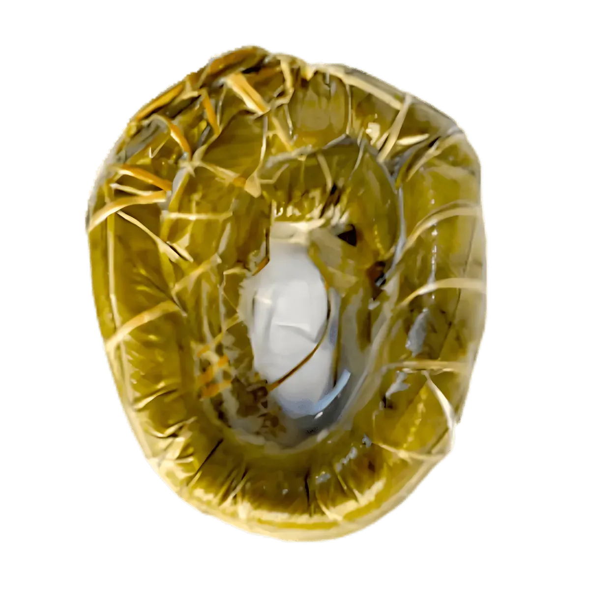 Bobolo sous vide emballé dans des feuilles de bananier, plat traditionnel de manioc prêt à cuire, pauvre en graisses et riche en fibres.