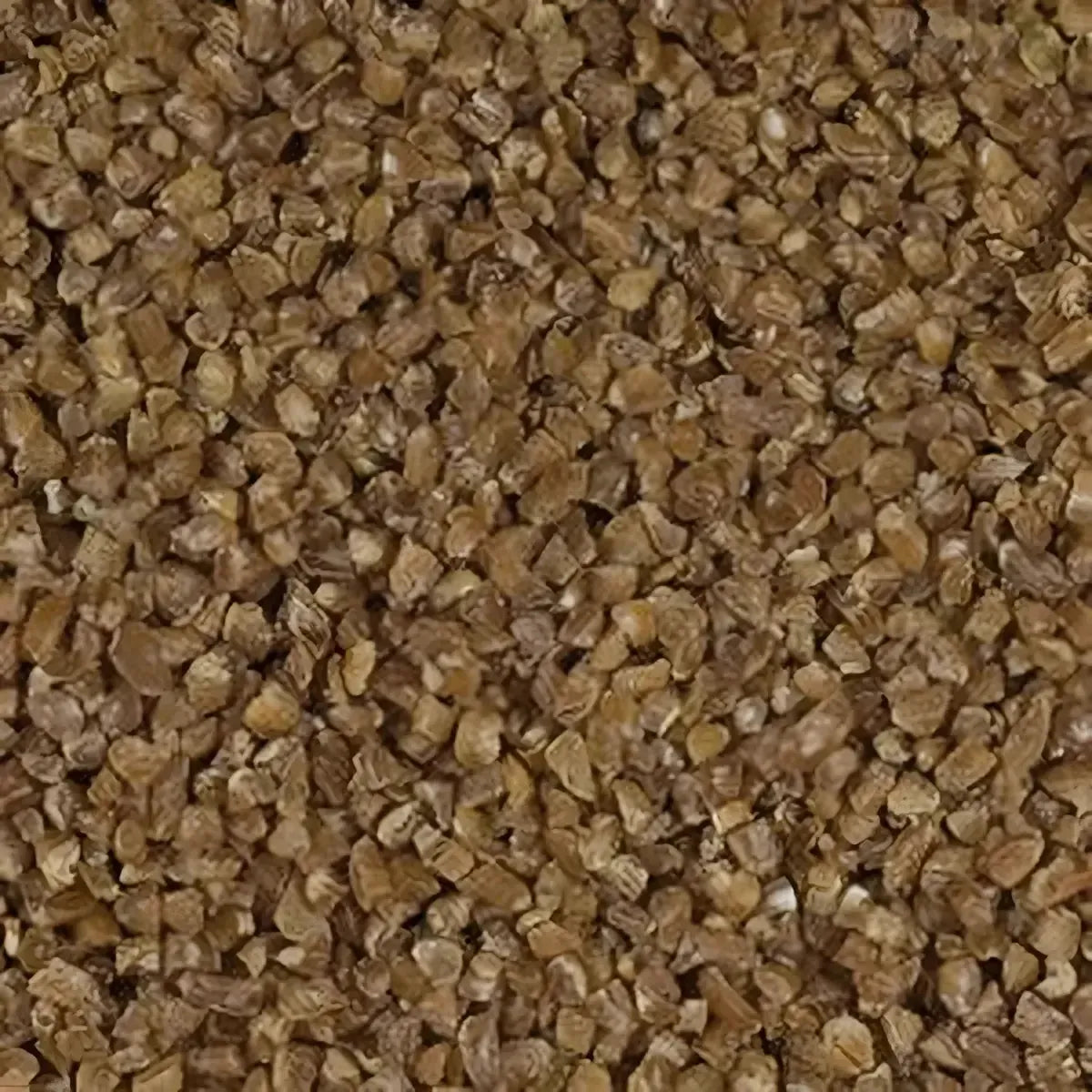 Gros plan sur le boulgour brun gros SAMIA, grains de blé dur concassés parfaits pour recettes méditerranéennes et orientales. Texture rustique.