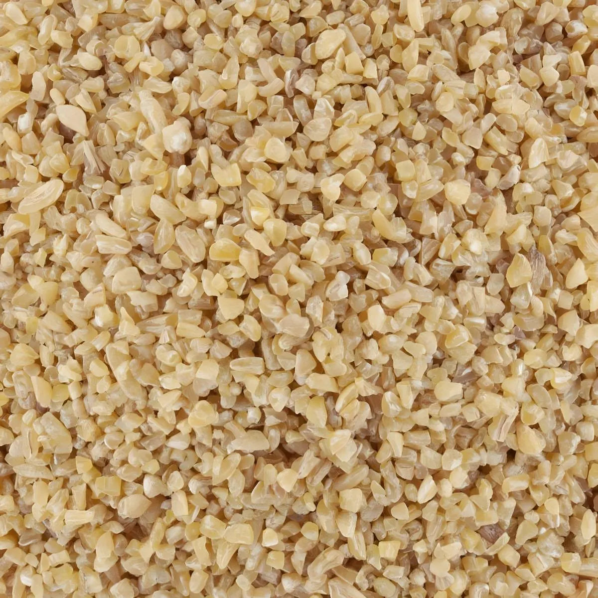 Gros plan sur le boulgour gros SAMIA, grains dorés à texture ferme. Parfait pour recettes saines et cuisine méditerranéenne.