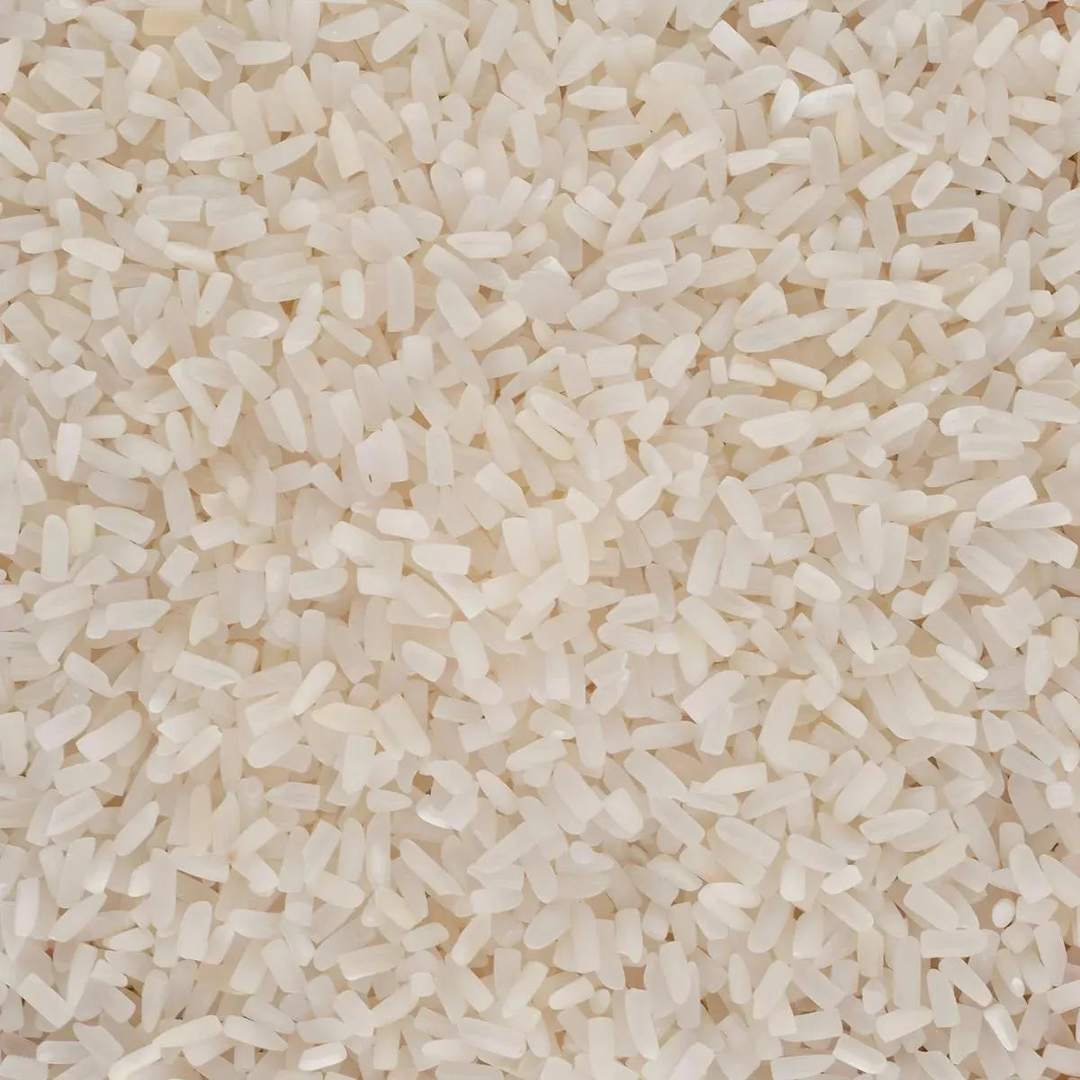 Gros plan sur les brisures de riz TERSOL cassé 1 fois, grains blancs courts idéals pour absorption rapide des saveurs en cuisine.