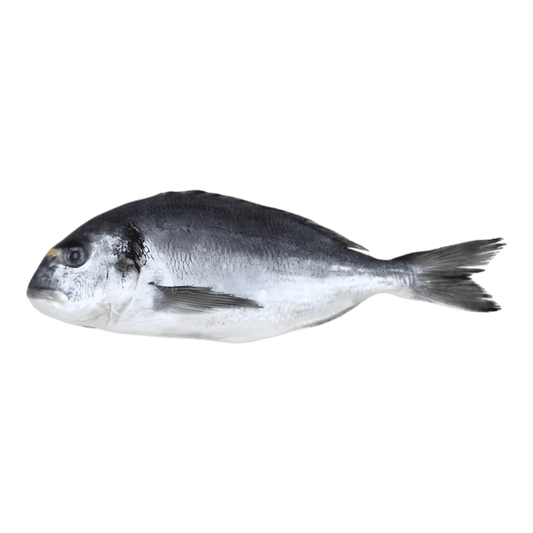 Burro / Carpe grise - POISSON - NKOSI, poisson d'eau douce entier surgelé, idéal pour grillades ou cuisson vapeur.