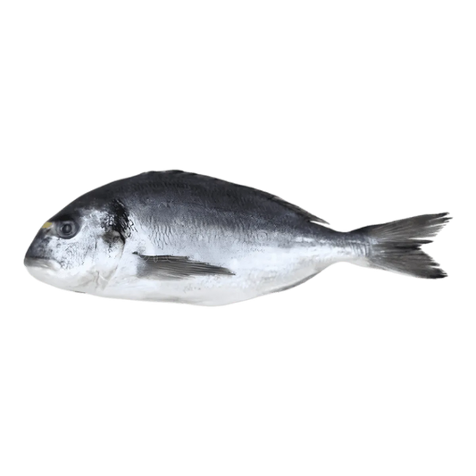 Burro / Carpe grise - POISSON - NKOSI, poisson d'eau douce entier surgelé, idéal pour grillades ou cuisson vapeur.