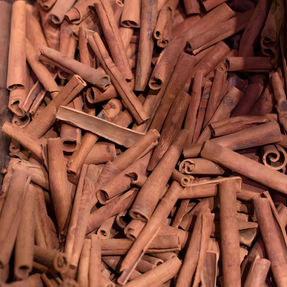 Bâtons de cannelle brute utilisés pour produire la cannelle moulue SAMIA - Cannelle Moulue Bio pour cuisine variée et épicerie salée.