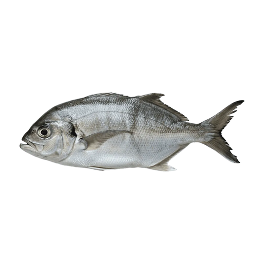 Carangue trevally - POISSON - NKOSI, poisson entier frais à la peau argentée, idéal pour grillades ou plats en sauce, riche en protéines.