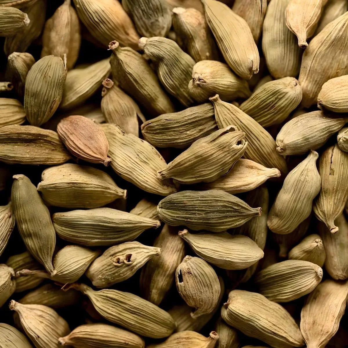Cardamome verte entière de SAMIA, épice aromatique aux tons vert olive et beige clair.