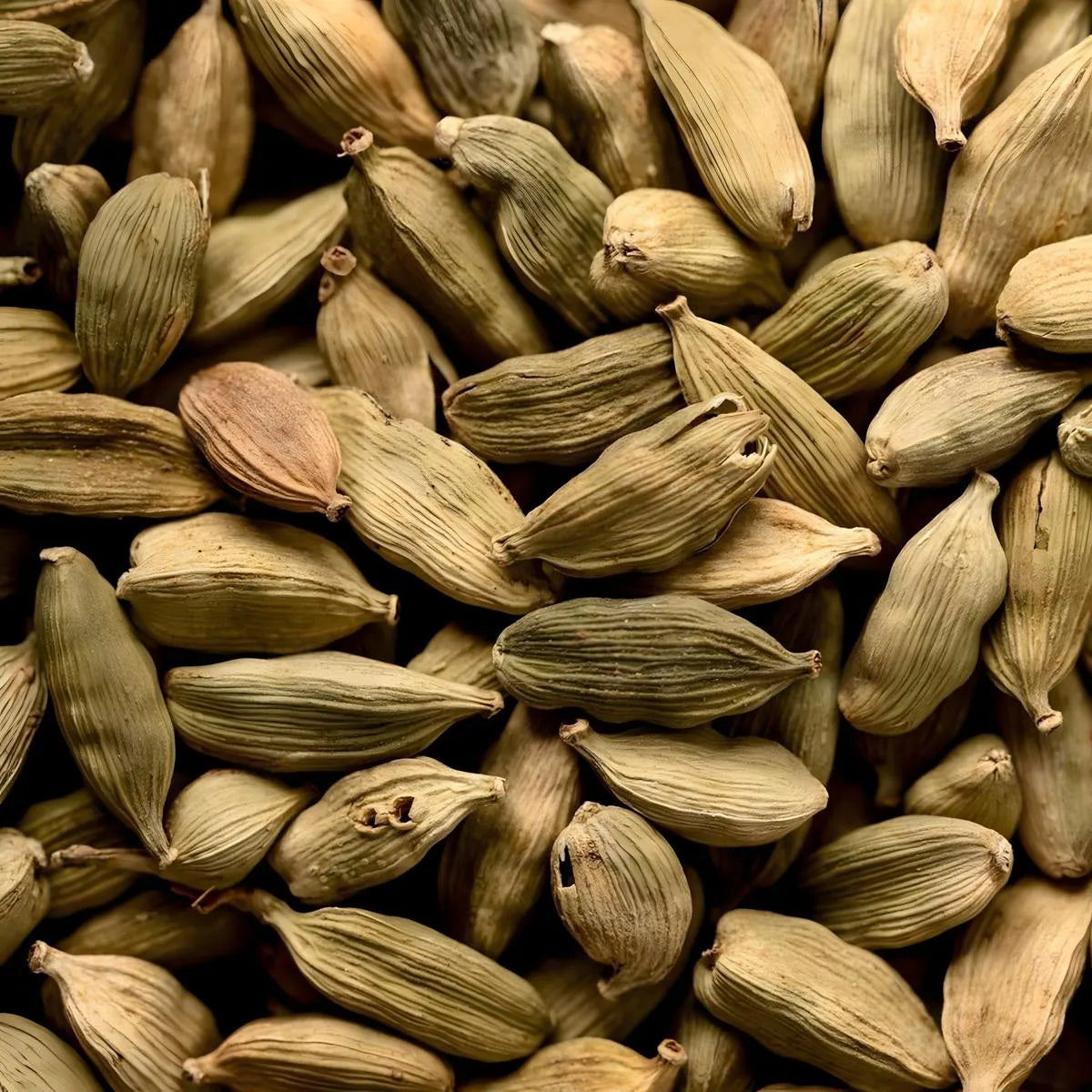 Gros plan sur gousses de cardamome verte entière SAMIA - Bio. Épice aromatique intense pour cuisine raffinée. Produit d’épicerie salée.