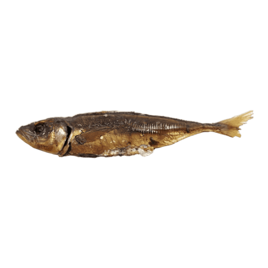 Chinchard entier fumé - POISSON - NKOSI, poisson fumé à la chair ferme et arômes riches, idéal pour plats chauds ou froids.