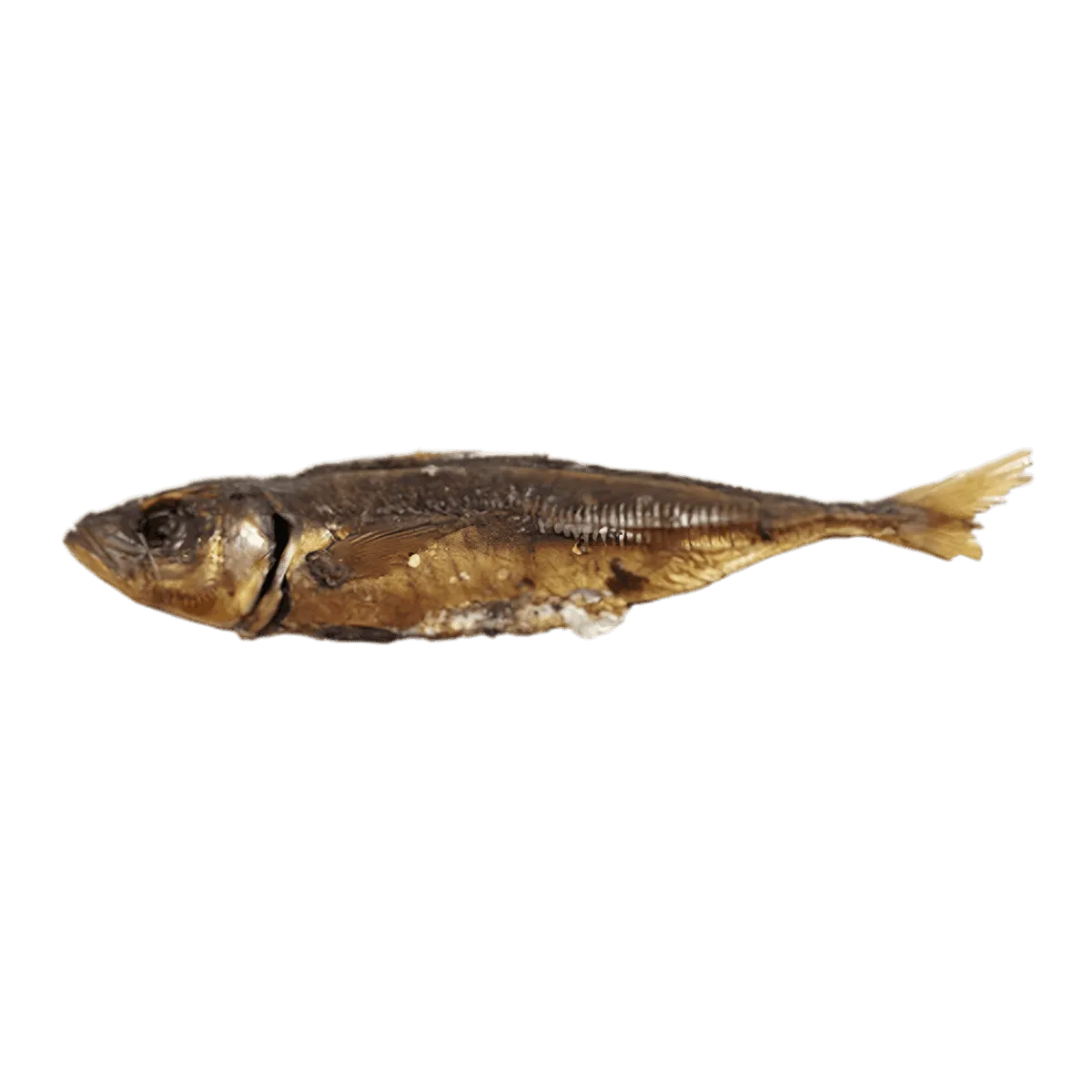 Chinchard entier fumé - POISSON - NKOSI, poisson fumé à la chair ferme et arômes riches, idéal pour plats chauds ou froids.