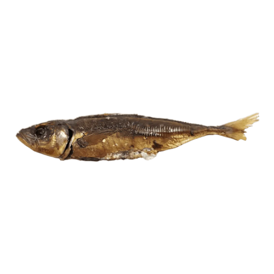Chinchard entier fumé - POISSON - NKOSI, poisson fumé à la chair ferme et arômes riches, idéal pour plats chauds ou froids.