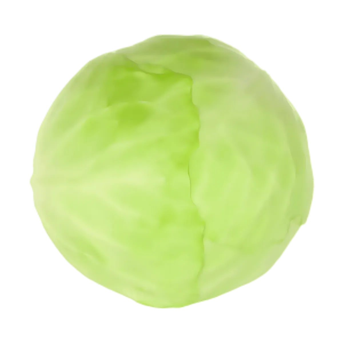 Chou blanc frais entier, légume croquant à texture ferme et goût sucré, idéal pour recettes crues ou cuites.