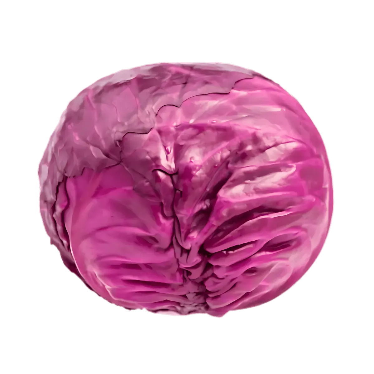 Chou rouge bio entier, légume frais riche en vitamines C et K, idéal pour une alimentation saine et colorée.