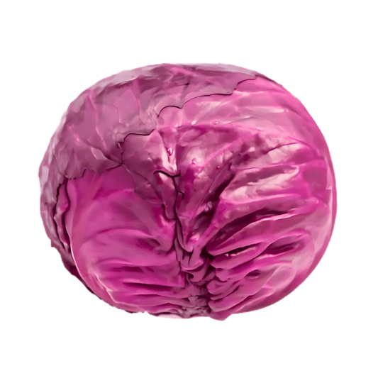Chou rouge bio entier, légume frais riche en vitamines C et K, idéal pour une alimentation saine et colorée.
