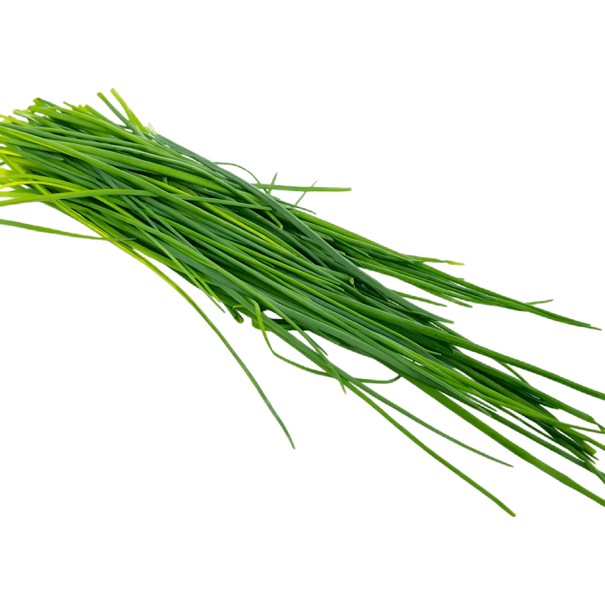 Tiges de ciboulette fraîche étalées, parfaites pour assaisonner les plats. Ciboulette - Herbe Aromatique Ciboulette | Cuisine et Saveur.