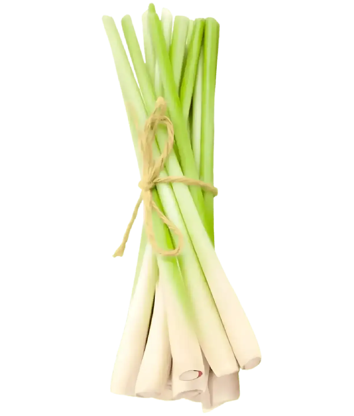 Citronnelle fraîche attachée en botte, idéale pour cuisine exotique, soupes, currys et marinades parfumées. Herbe aromatique asiatique.