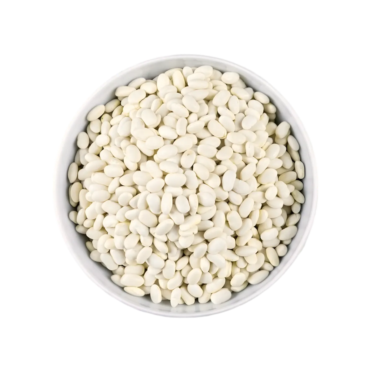 Bol rempli de haricots blancs secs LEGUMOR, produit d'épicerie salée riche en protéines et fibres, parfait pour cuisine végétarienne.