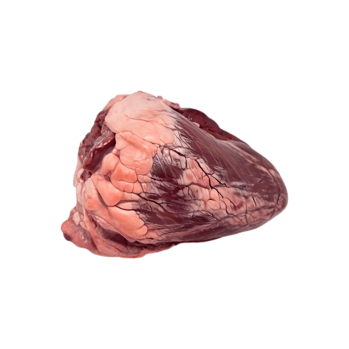 Cœur de bœuf entier non coupé, viande fraîche surgelée idéale pour cuisson lente. Texture ferme et riche en nutriments, parfait pour plats mijotés.