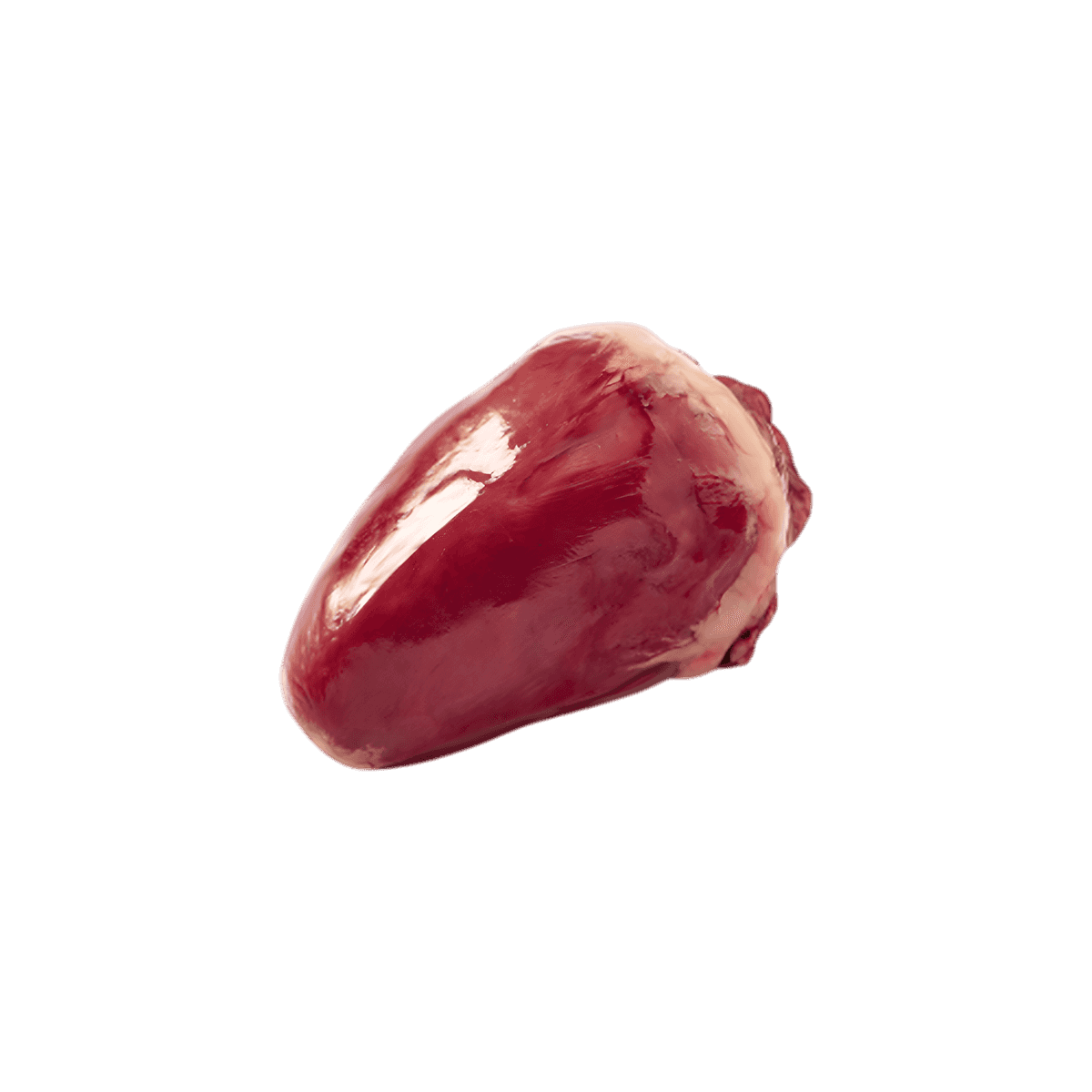 Coeur de dinde halal surgelé NKOSI, pièce entière de volaille à la texture ferme, idéale pour recettes traditionnelles ou mijotées.