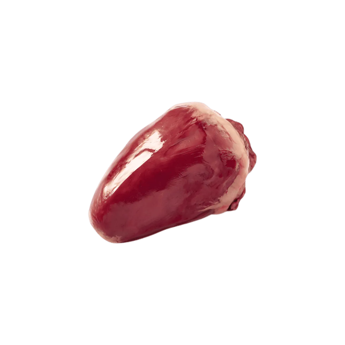 Coeur de dinde halal surgelé NKOSI, pièce entière de volaille à la texture ferme, idéale pour recettes traditionnelles ou mijotées.