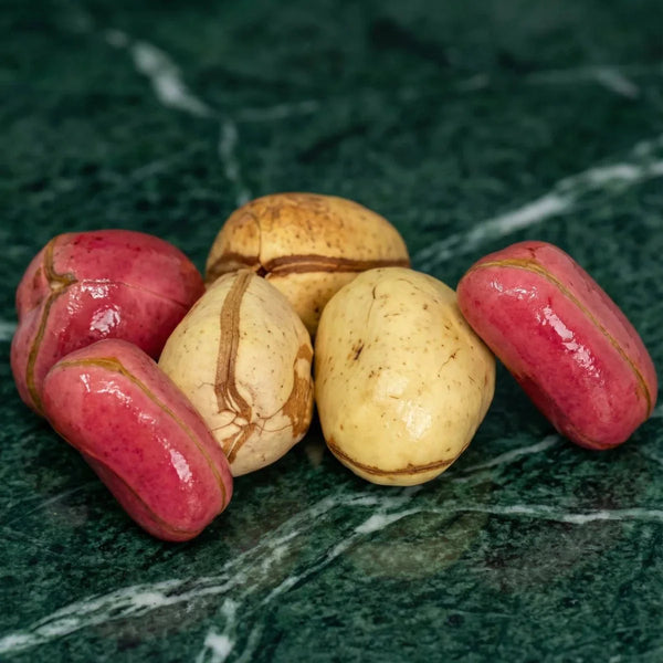 Kolanuss, [Markenname]. Rote und beige Kolanüsse auf marmoriertem grünem Hintergrund.
