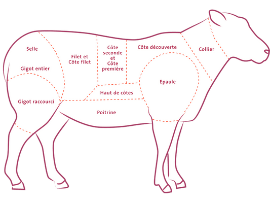 Schéma de découpe de l'agneau indiquant la position du colier, partie supérieure du cou, utilisée pour le colier d'agneau - VIANDE - NKOSI.