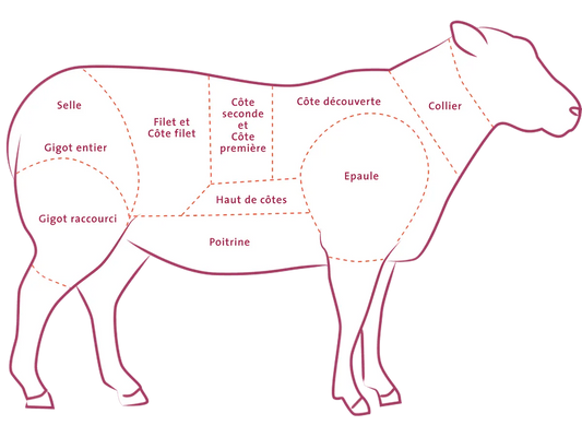 Schéma de découpe de l'agneau indiquant la position du colier, partie supérieure du cou, utilisée pour le colier d'agneau - VIANDE - NKOSI.