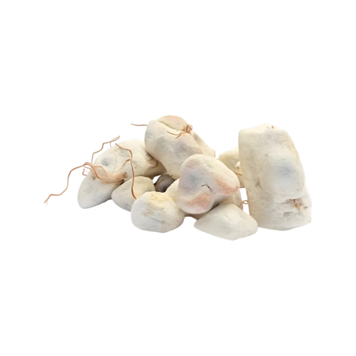 Morceaux de concassé de baobab BIO RACINES, pulpe de fruit séchée à texture croquante, parfaits pour snacks ou recettes sucrées bio.