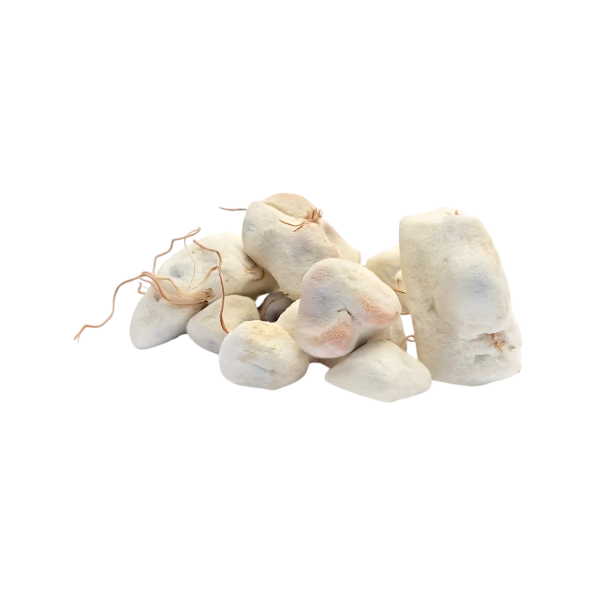 Morceaux de concassé de baobab BIO RACINES, fruit séché naturel à la texture poudreuse, idéal pour plats et boissons saines.