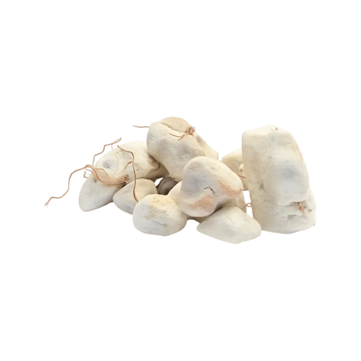 Concassé de baobab bio vendu par lot de Racines.