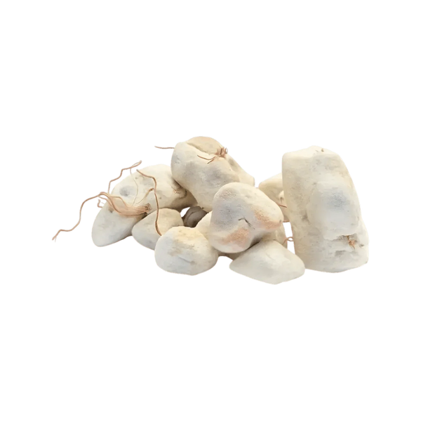 Concassé de baobab bio vendu par lot de Racines.