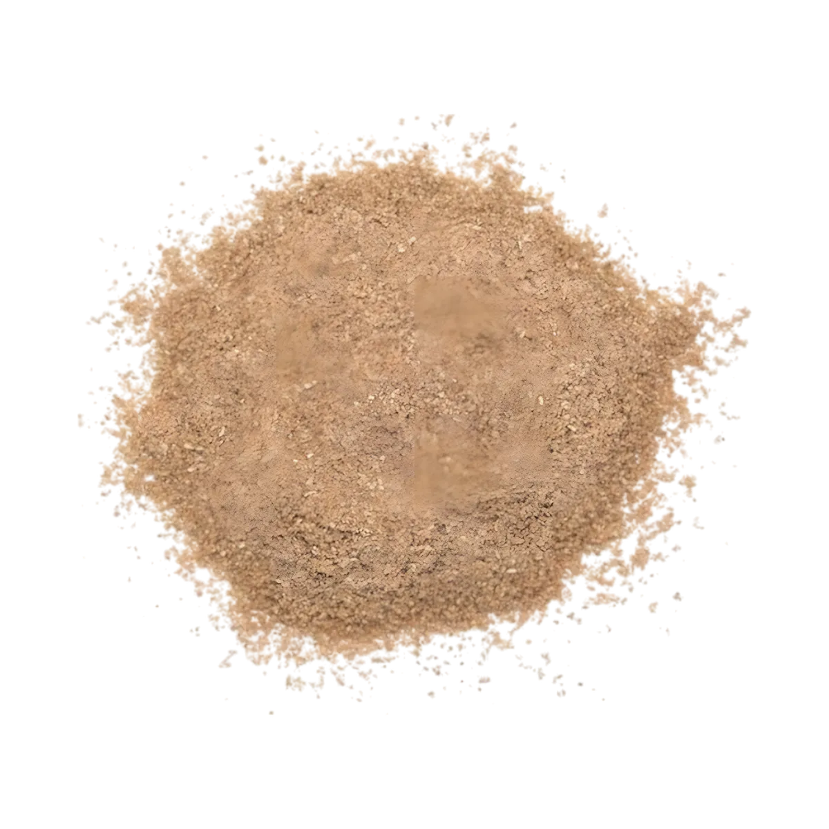 Zoom sur la coriandre moulue SAMIA en poudre fine, texture homogène parfaite pour assaisonner sauces, viandes et plats mijotés.