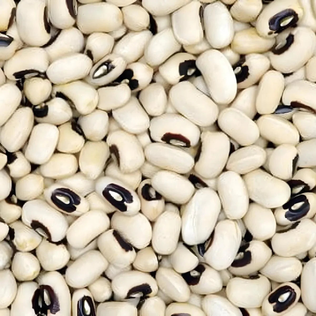 Cornilles LEGUMOR — 1kg. Nahaufnahme einer Vielzahl von weißen Bohnen mit schwarzem Auge.