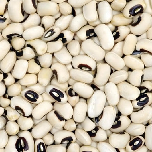 Gros plan sur les haricots secs Cornilles LEGUMOR, texture tendue et couleur crème avec œil noir, idéals pour plats mijotés et salades.