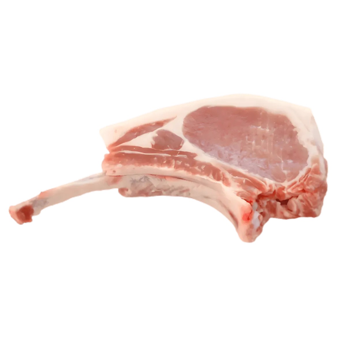 Côte de porc avec os - Savoureuse et juteuse, viande tendre idéale pour grillades ou cuisson lente. Parfait pour les amateurs de viande fraîche.