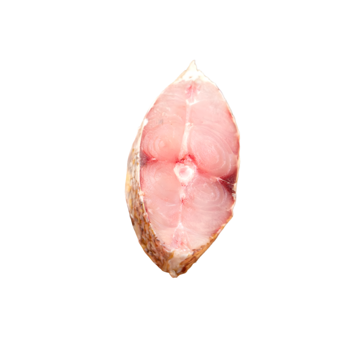 Darnes de dorade coryphène
