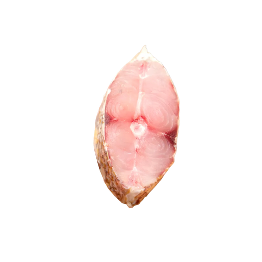 Darne de dorade coryphène surgelée, montrant la texture fraîche et la chair rosée idéale pour les recettes de poisson savoureuses.