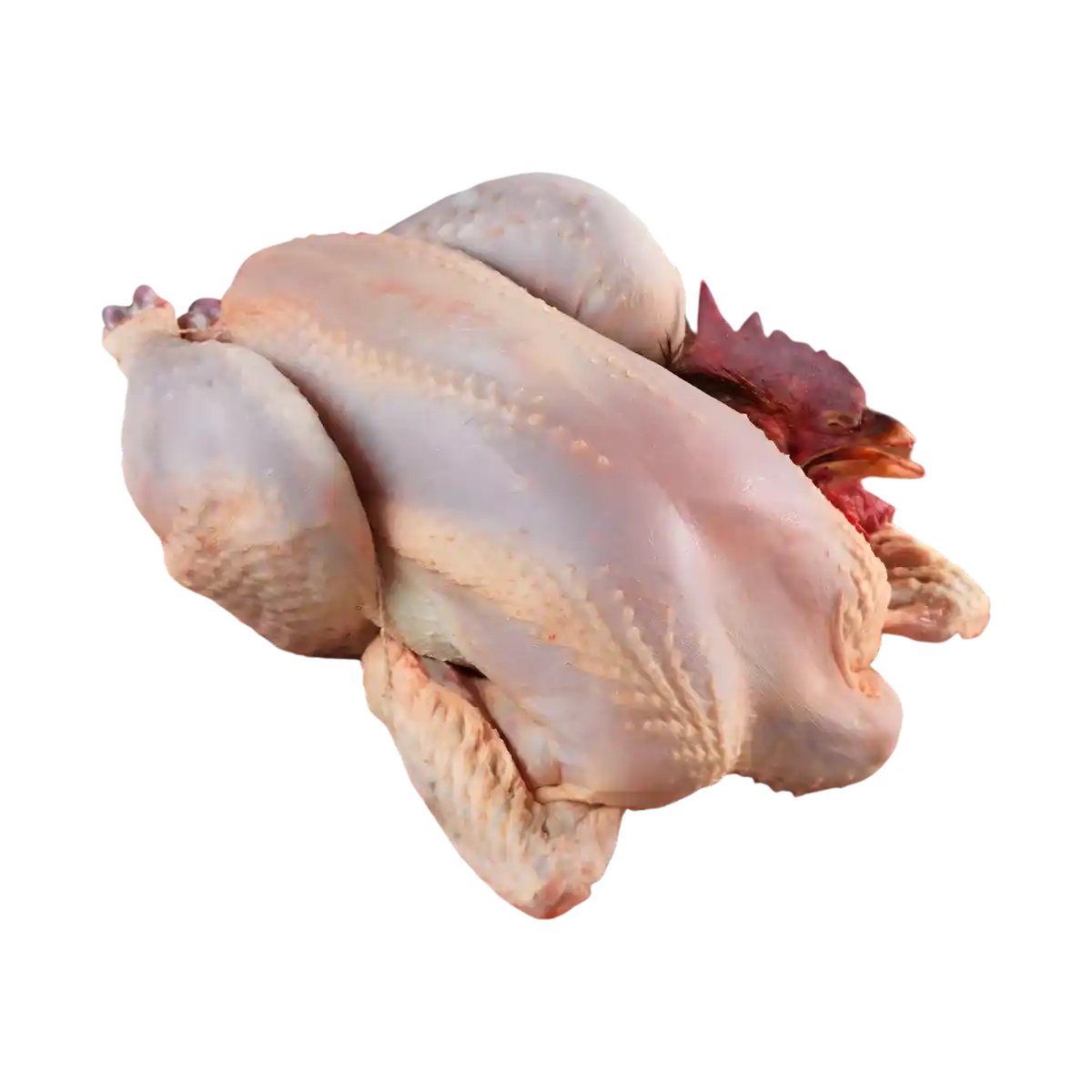 Coq entier halal cru prêt à être découpé pour cuisson. Volaille fraîche idéale pour recettes traditionnelles ou plats mijotés.