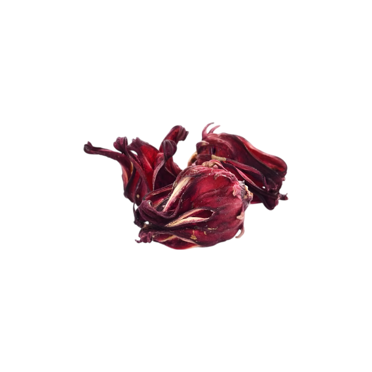 Délice hibiscus BIO RACINES