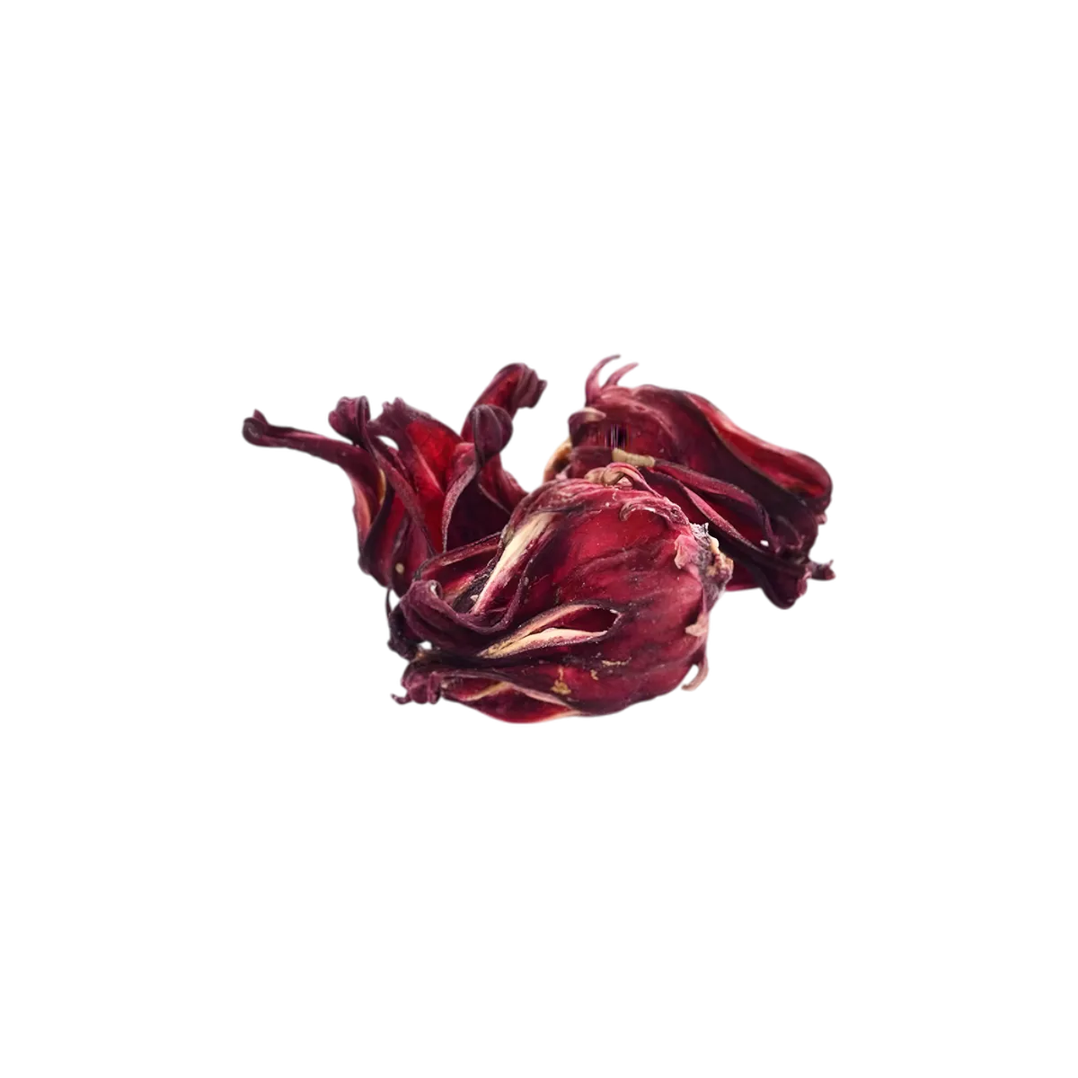Délice hibiscus BIO RACINES