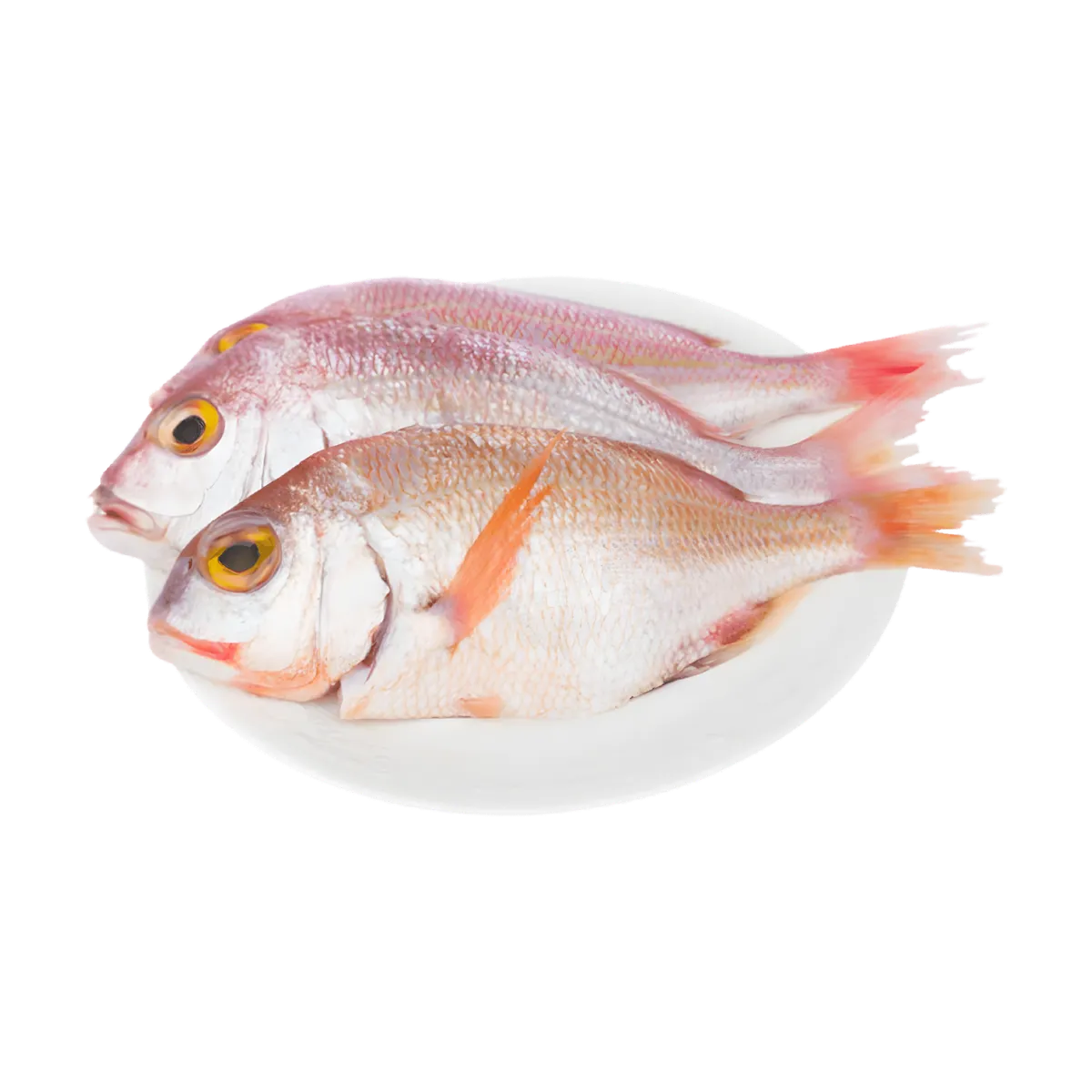 Deux dorades roses surgelées présentées sur une assiette blanche, parfaites pour recettes de poisson frais et savoureux.